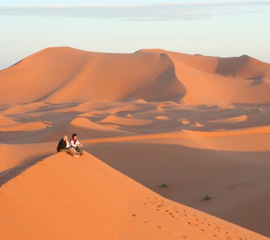 Visit the Erg El Ghoul and Discover the Majestic Desert Scenery The Erg El Ghouli offers one of the most spectacular desert landscapes. Its towering dunes and remote beauty make for a perfect desert adventure