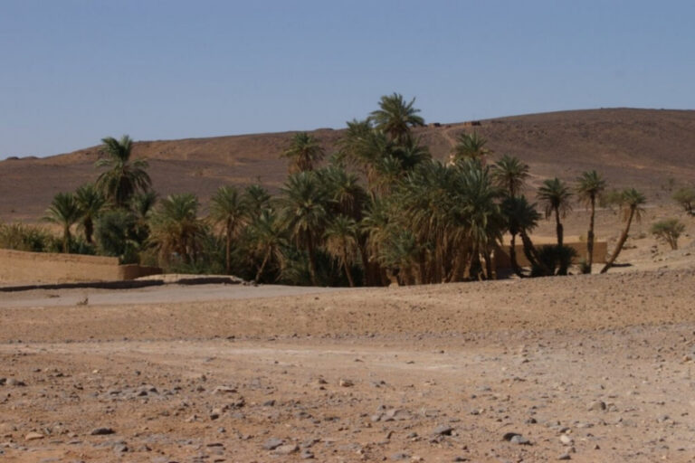 oasis sacree d'oum laalag