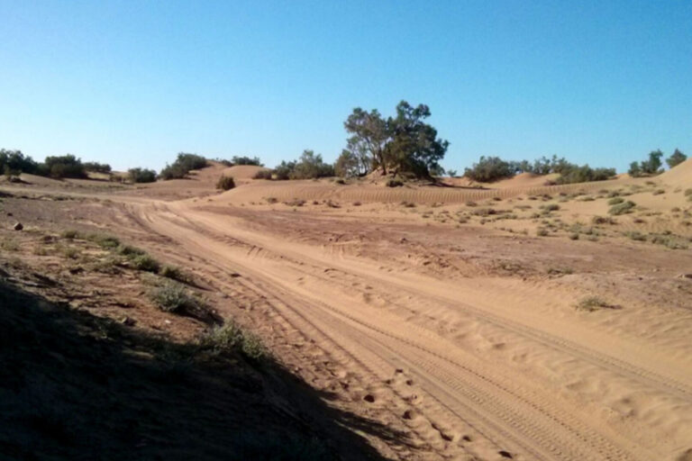 discover the desert road