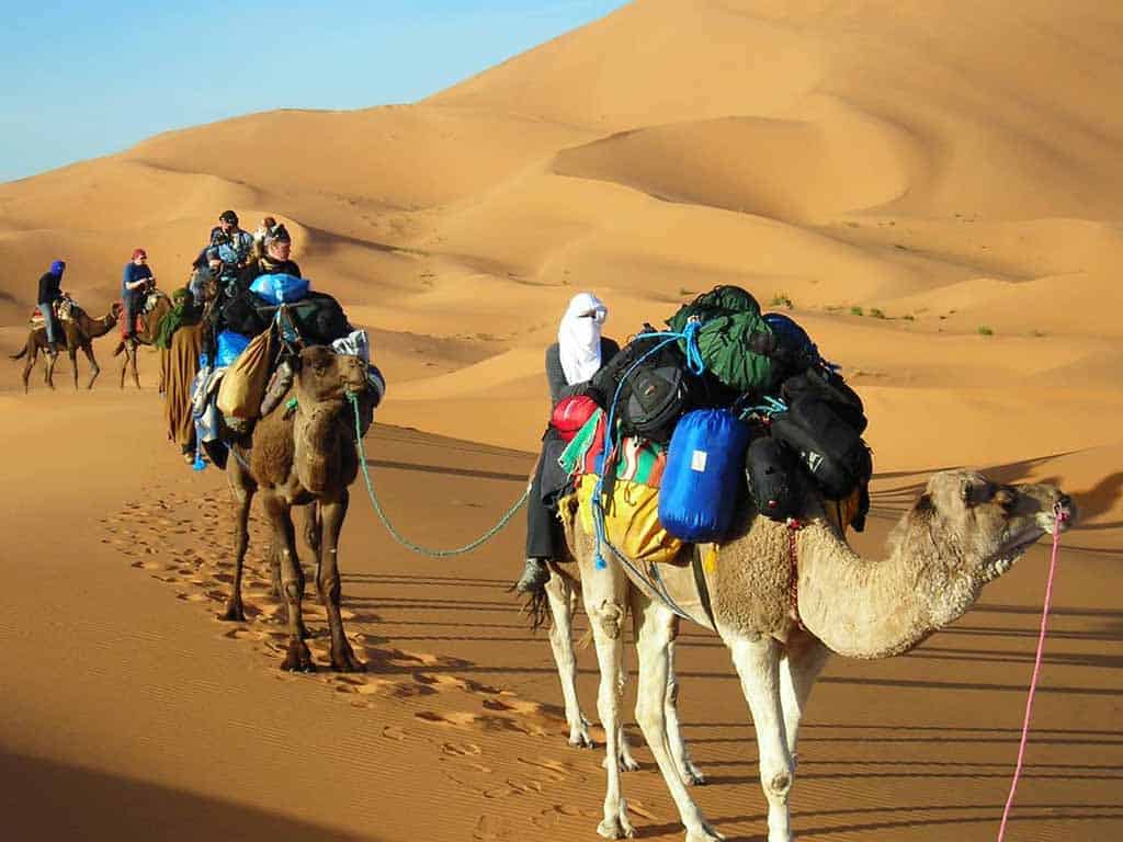 Camel Trekking Through the Desert on an Unforgettable Adventure
Take a camel ride across the golden sands, an authentic desert experience that takes you back to ancient times. Enjoy the vast desert landscapes and interact with the local Bedouins