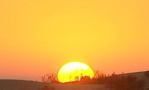 Watch the Sunrise from the Heart of the Desert in a Magical Moment Start your day by witnessing the sunrise in the desert, where the colors of the sky and the golden dunes create a breathtaking scene. A perfect moment of serenity