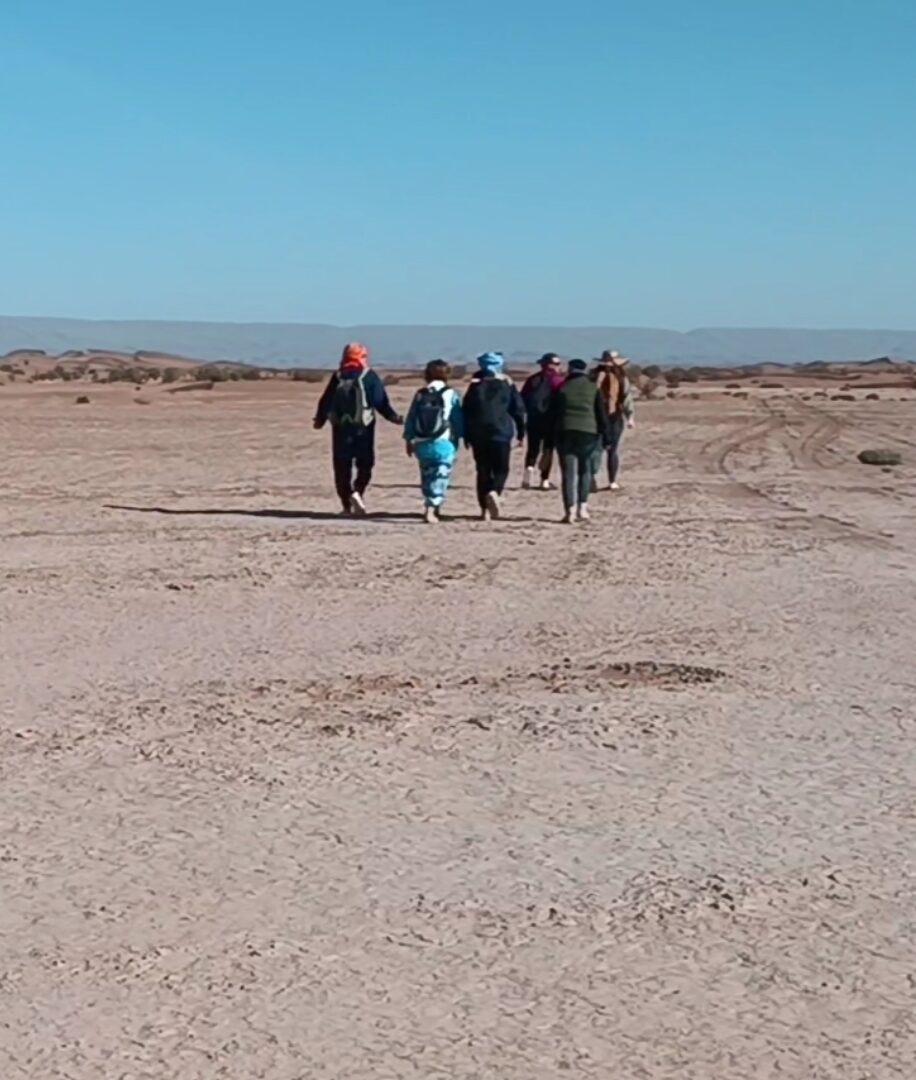 Iriki National Park and the Sands Beyond: A Desert Adventure
Travel through a land of striking plateaus and open plains, experiencing the transition from rugged rock formations to soft Sahara dunes.