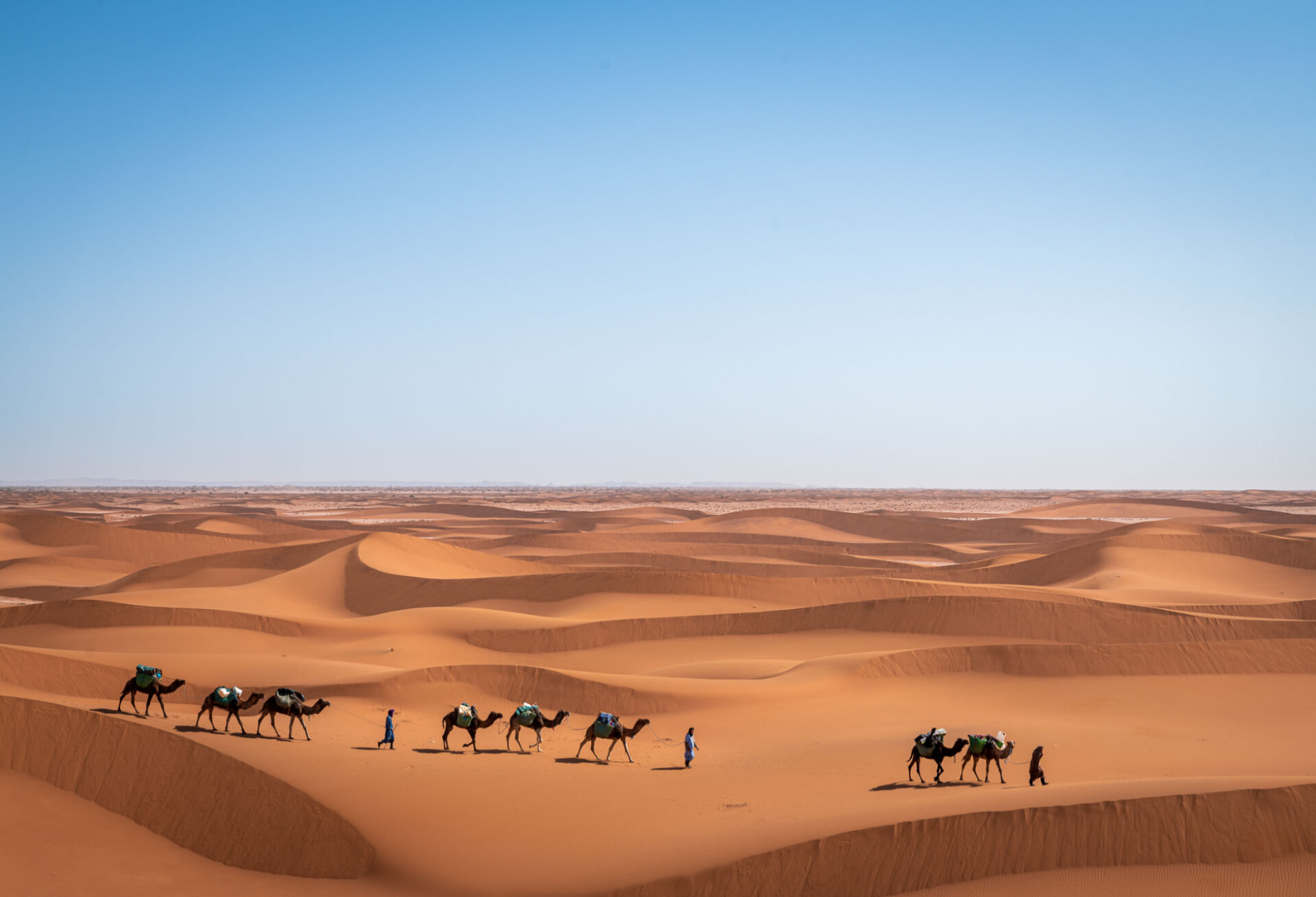  Discover the Sahara’s Magic: A Camel Trek to Erg El Ghoul
Traverse the mesmerizing desert on foot, accompanied by a camel caravan, and experience the beauty of towering dunes and traditional Bedouin music